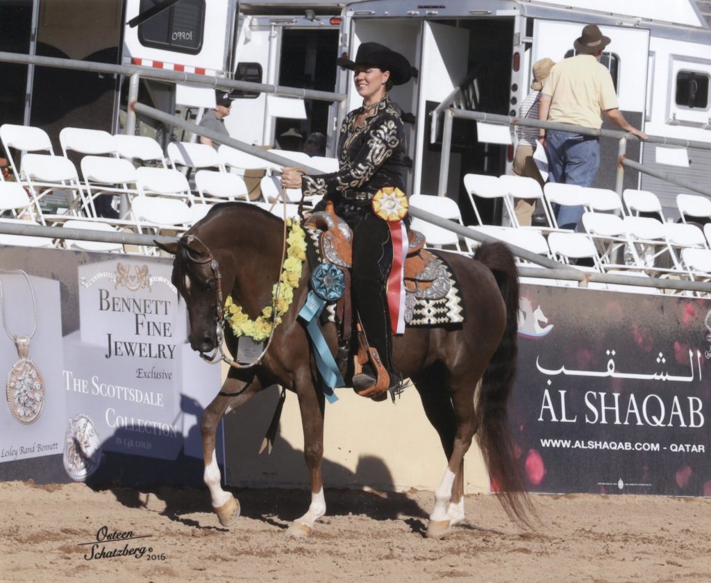 BSF Elegance and Cori Sampson Vokoun winning reserve champion at the 2016 Scottsdale Show