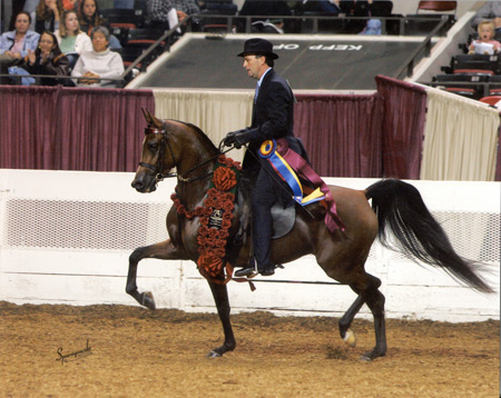 BSF Electra and Peter Stachowski winning the 2004 US Nationals in Arabian English Pleasure Futurity 